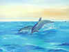 dolphins_jumping_c 1.jpg (343865 bytes)