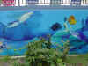 Shark on Ext Wall.jpg (89061 bytes)